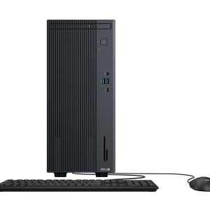 PC ASUS ExpertCenter P500MV (P500MV-05210H002W)