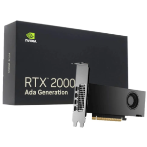 VGA NVIDIA RTX 2000 Ada 16GB GDDR6
